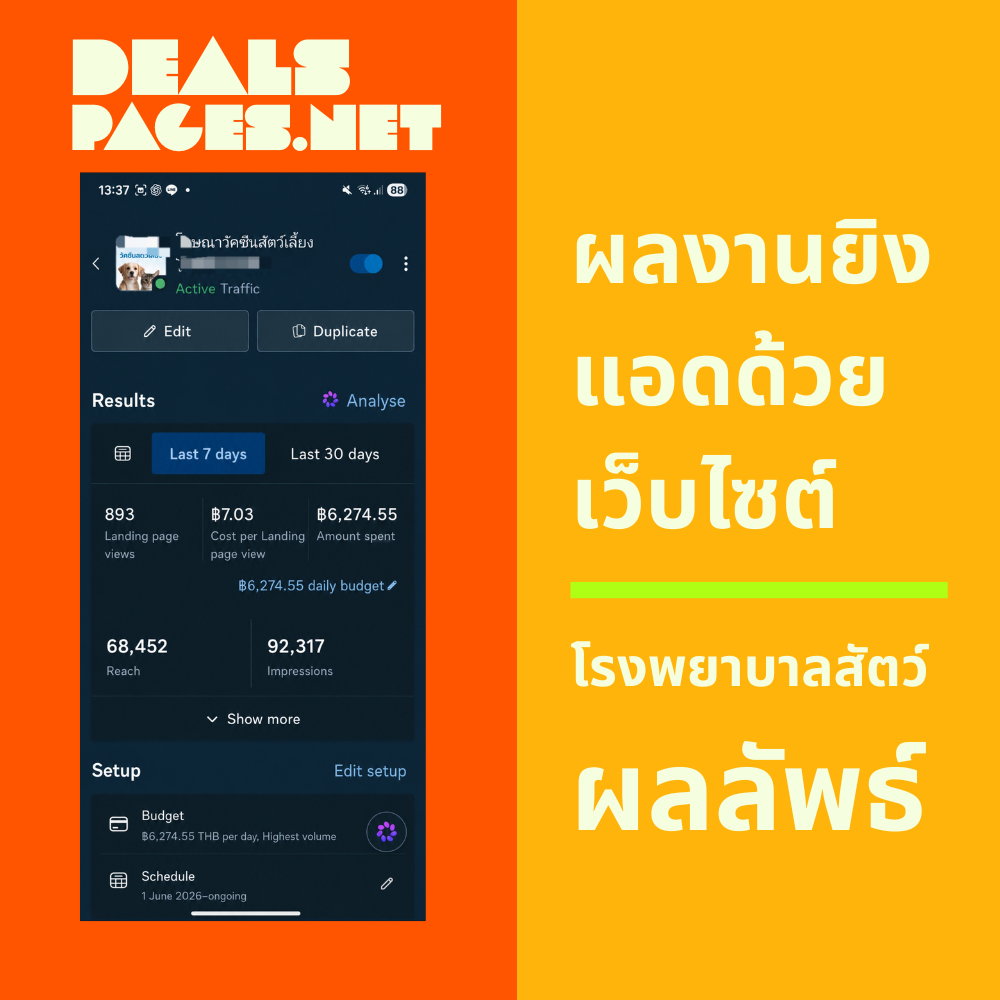 ตัวอย่างผลงาน DealsPages 2