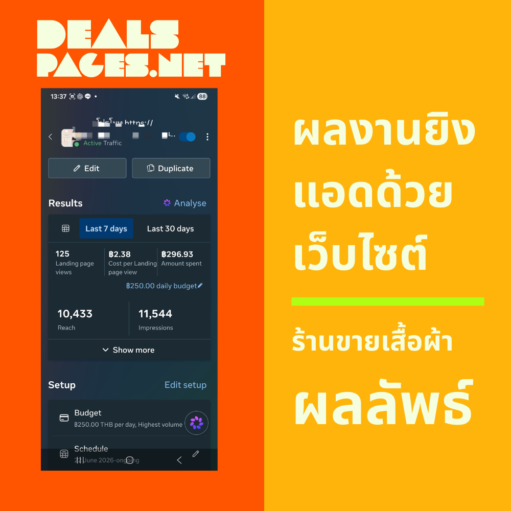 ตัวอย่างผลงาน DealsPages 3